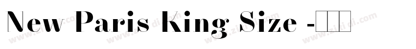 New Paris King Size 字体转换